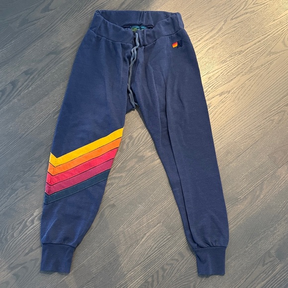 Aviator Nation Pants - Aviator Nation Navy Joggers with Colorful Stripes